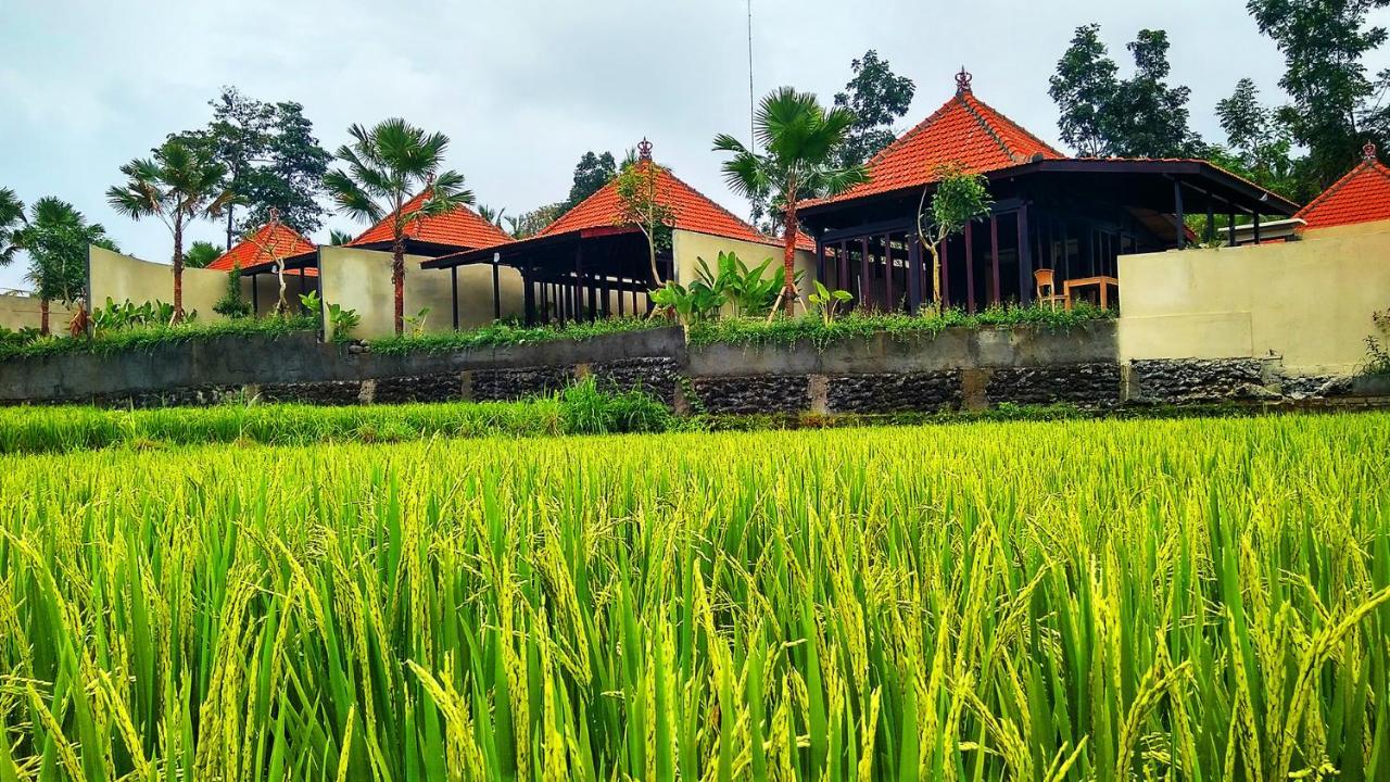 Vrindavan Ubud Villa 德格拉朗 外观 照片