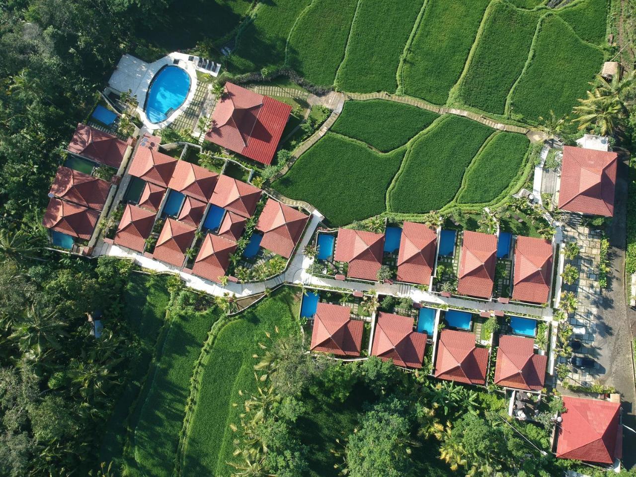 Vrindavan Ubud Villa 德格拉朗 外观 照片