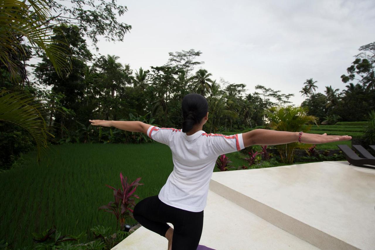Vrindavan Ubud Villa 德格拉朗 外观 照片