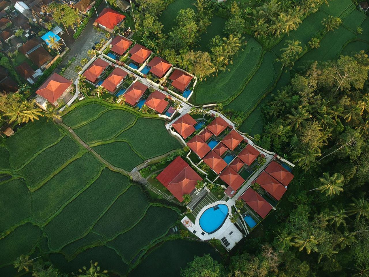 Vrindavan Ubud Villa 德格拉朗 外观 照片