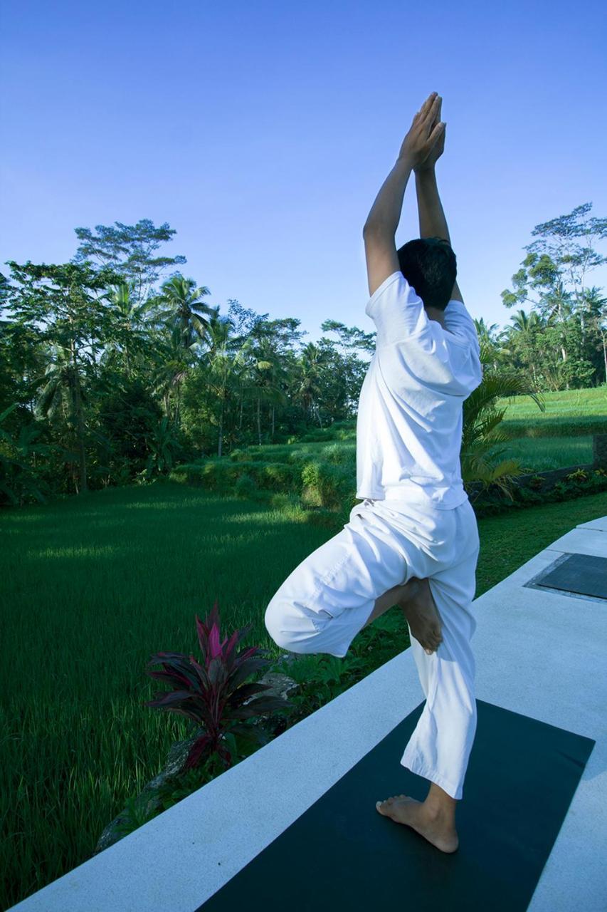 Vrindavan Ubud Villa 德格拉朗 外观 照片