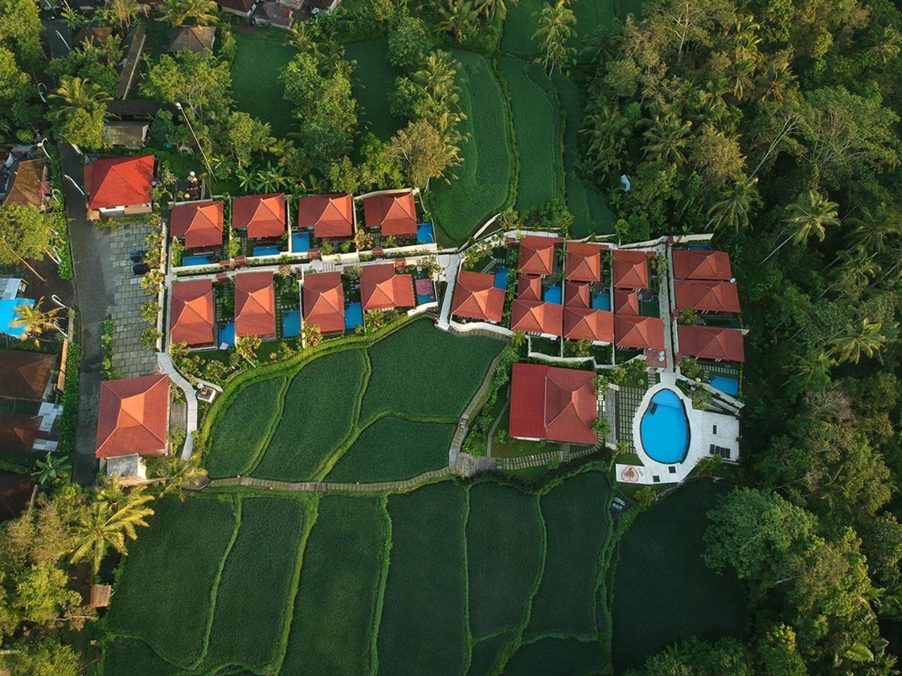 Vrindavan Ubud Villa 德格拉朗 外观 照片