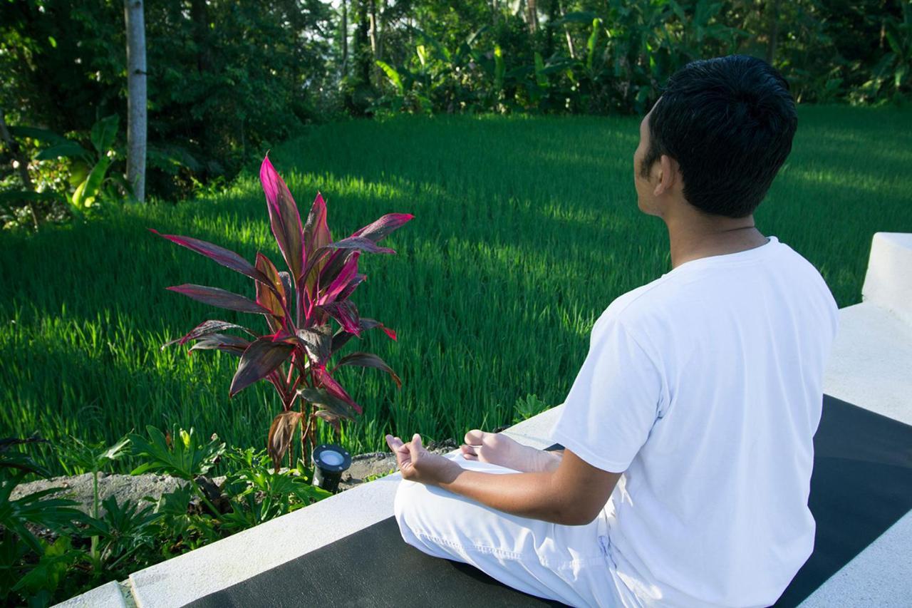 Vrindavan Ubud Villa 德格拉朗 外观 照片