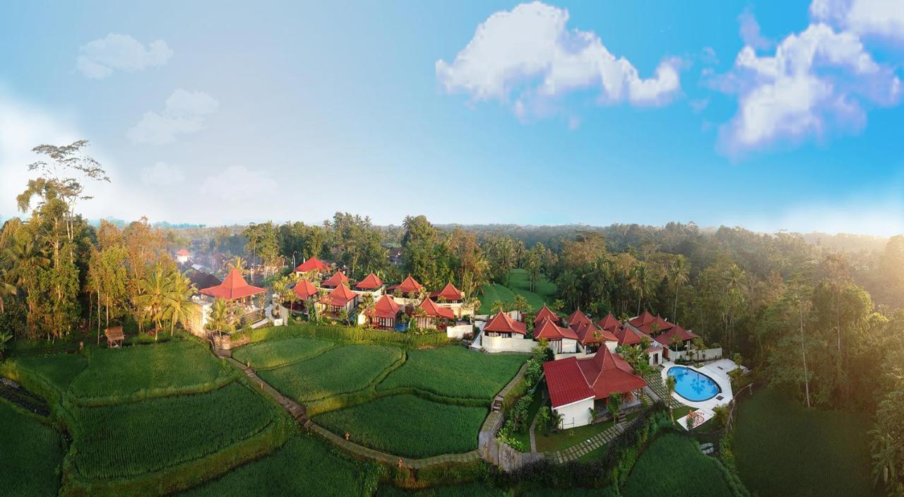 Vrindavan Ubud Villa 德格拉朗 外观 照片